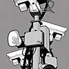   Rane