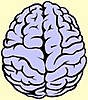   cheerfulbrain